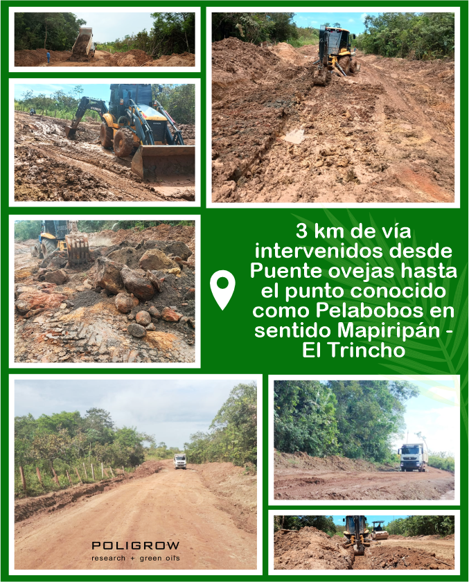 poligrow's tweet photo. ¡En Poligrow seguimos construyendo caminos de progreso! 

Elevamos la vía 1.5 m para evitar inundaciones, instalamos alcantarillas en concreto y canales laterales para evacuar aguas de manera eficiente y usamos material de arrecife, que aporta estabilidad al suelo. https://t.co/Q9HxwsQJxM