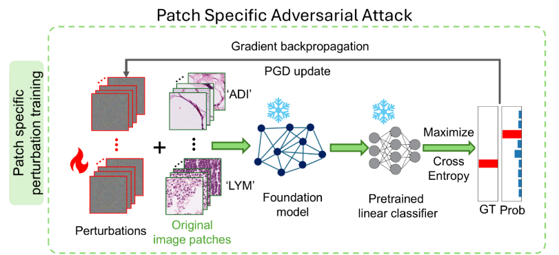 kimia lab tweet media