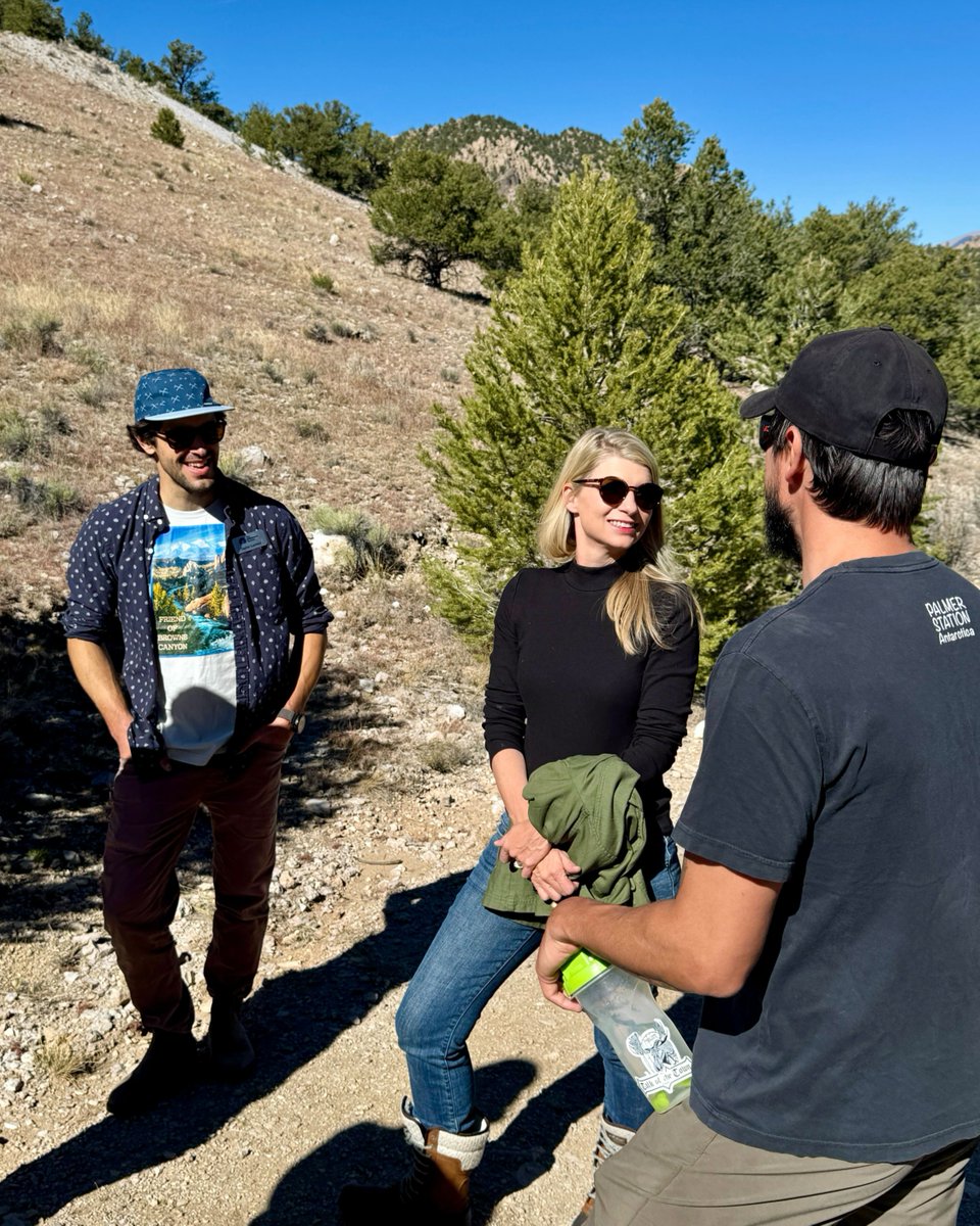 U.S. Rep. Brittany Pettersen tweet media