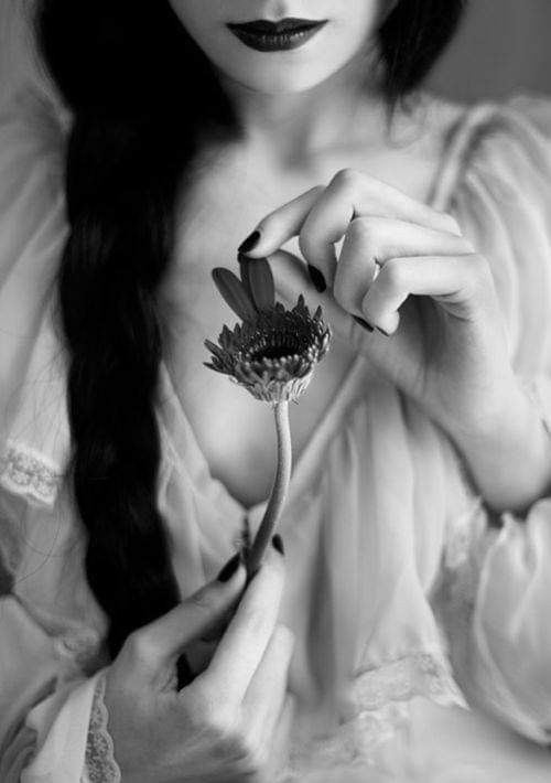 ,

pencereyi aç
akşamı içmeme izin ver  💮

iyi akşamlar   🩶

.