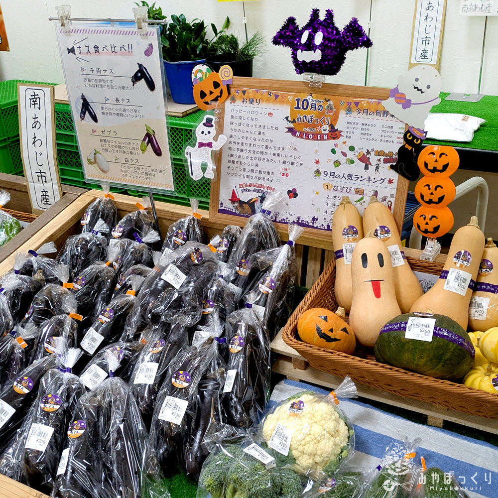 miyabokkuri's tweet photo. こないだの土曜日の夜から翌日のお昼にかけてお祭り3軒ハシゴしてきました🎪✨️🍎
#湊ナイトマーケット #りんご祭り #しづかマルシェ #SEAPA #井本産業株式会社 #淡路島 #みやぼっくり https://t.co/7aYPQ6r9ZU