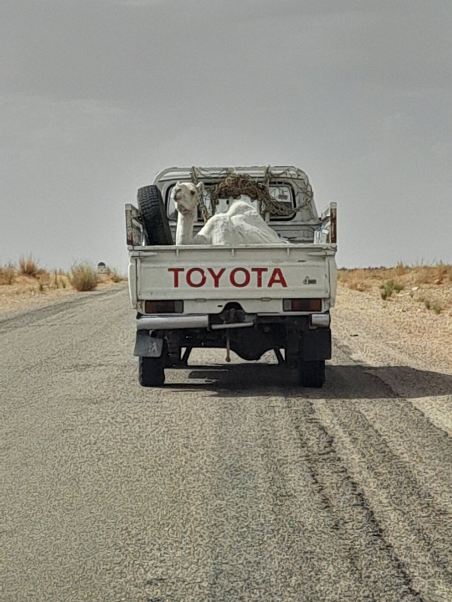 ♡⚔♡HitFollowTeam♡⚔♡ (@hitfollowteam) on Twitter photo 