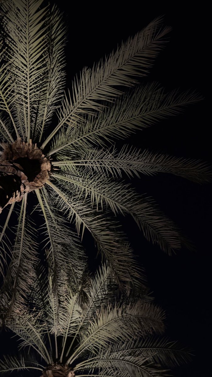 ابرا | IBRA tweet media