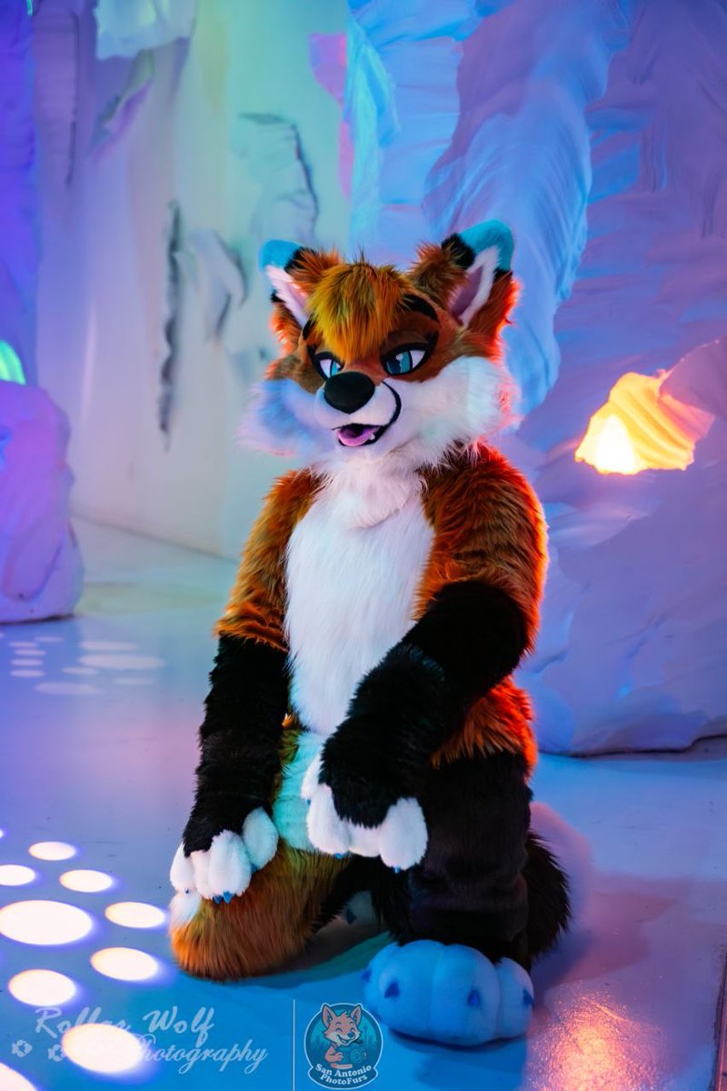 Hate me or love me. Either way, I'm still on your mind..

📸<a href="/rollarwolf/">Rollar Wolf</a>