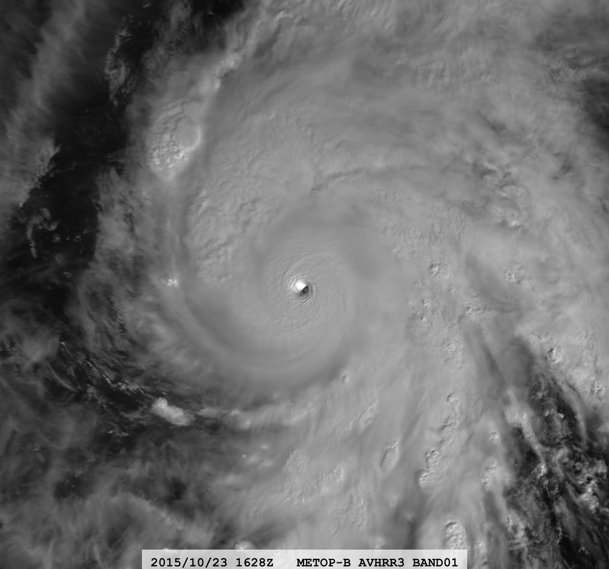 zeb199818's tweet photo. Hurricane #20L #Patricia 10-year Anniversary
Satellite: #METOPB #AVHRR3
Channel : B01 (0.63 µm) / B04 (10.8 µm) 1.1 km
Time : 2015/10/23 1628Z
Eye Temp : 23.83 °C
CPA : ~410 km
Aircraft Observation :
1733Z 883mb/45kt FL 192KT https://t.co/M8wf4i8EqW