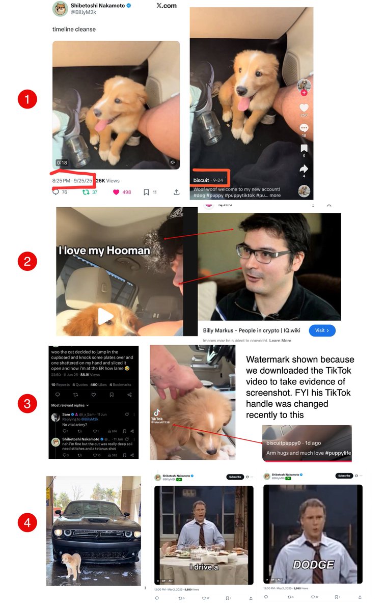 Bullieonchain's tweet image. I wanted to summarize the $biscuit details and why we believe it is @BillyM2k, the founder of @dogecoin, new puppy:
1) The video was first posted on TikTok from a small account and then one day later on his X account. The X version did not have a TikTok watermark, which it would…