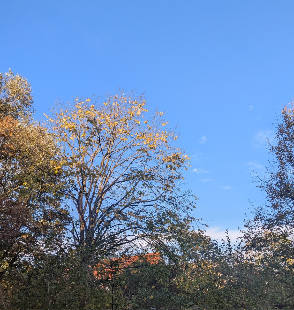 Da kommt man durch Sturm und Regen von der Arbeit nach Hause und schaut paar Minuten später zu Hause mal aus dem Fenster.
Sonne? Blauer Himmel? Windstille?
Das Wetter hier ist doch auch bekloppt.