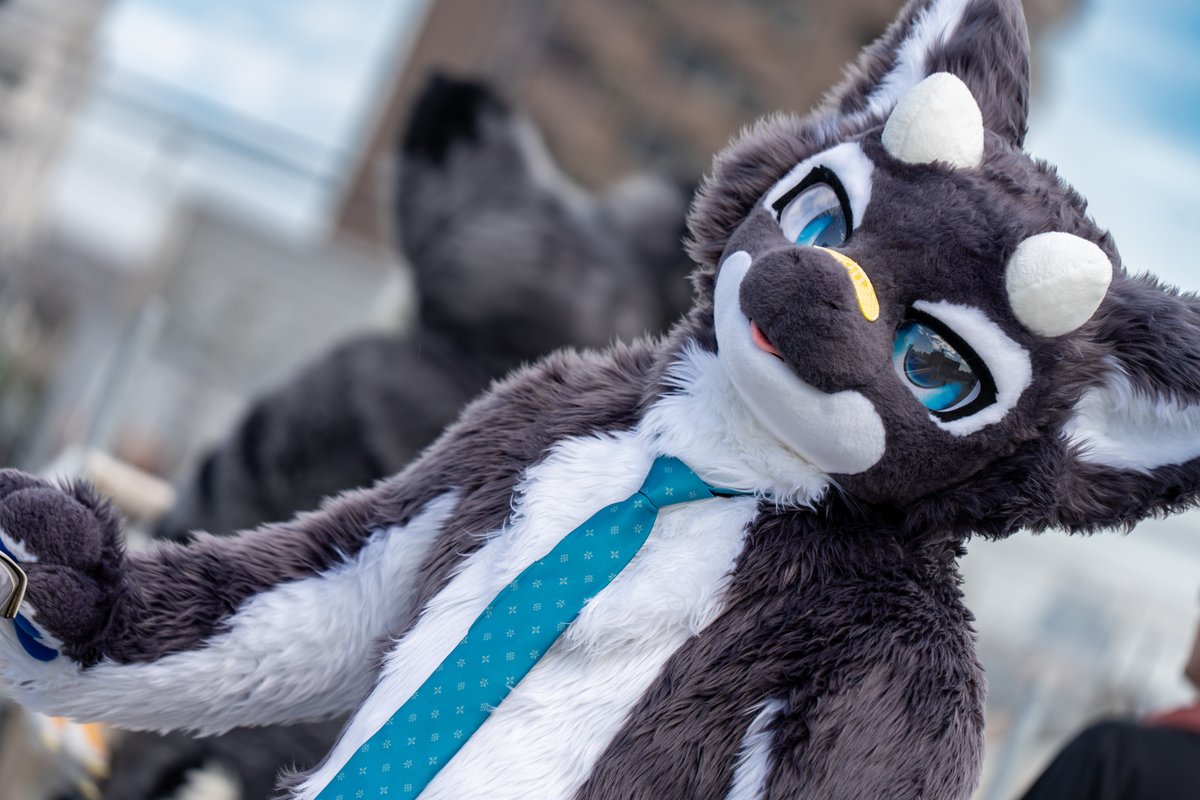 来週のinfurnityに参加します！
サブホテルに泊まるんだけど、更衣室どうしようかな...

#fursuitfriday