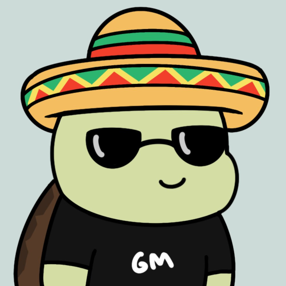 Chubby Turtles NFT tweet media