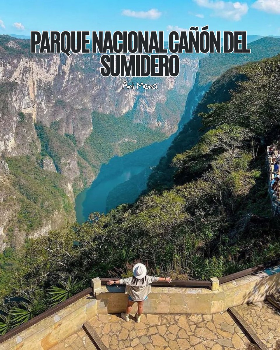 🌿Parques Nacionales: naturaleza en su máxima expresión🌿En México, son joyas naturales protegidas por su belleza, valor ecológico y riqueza cultural.🌎✨
En Chiapas, Palenque,  el Cañón del Sumidero y Lagunas de Montebello, 3 paraísos donde naturaleza e historia se entrelazan.🌄