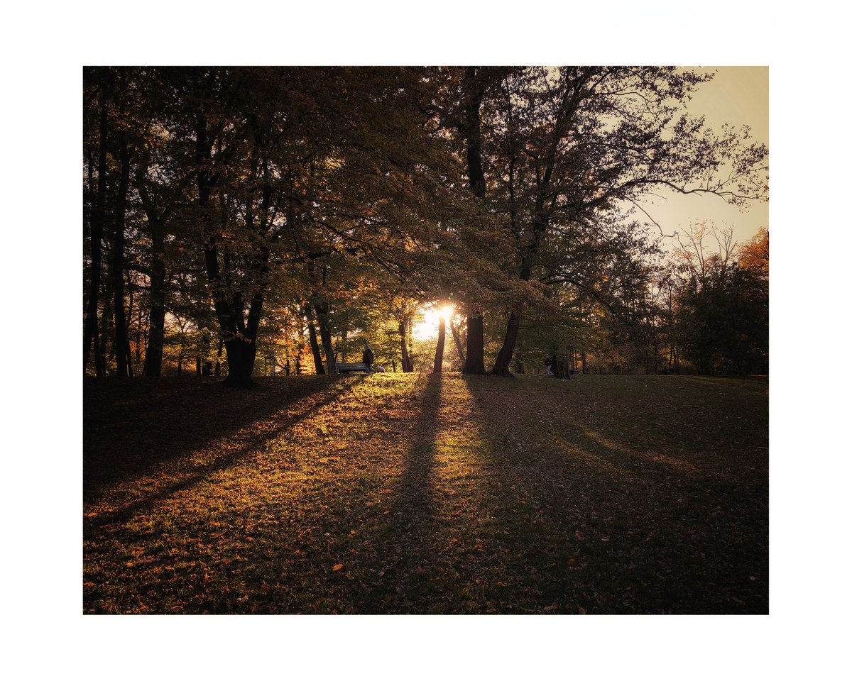 Marek Czartoryski (@markchortsnotes) on Twitter photo 