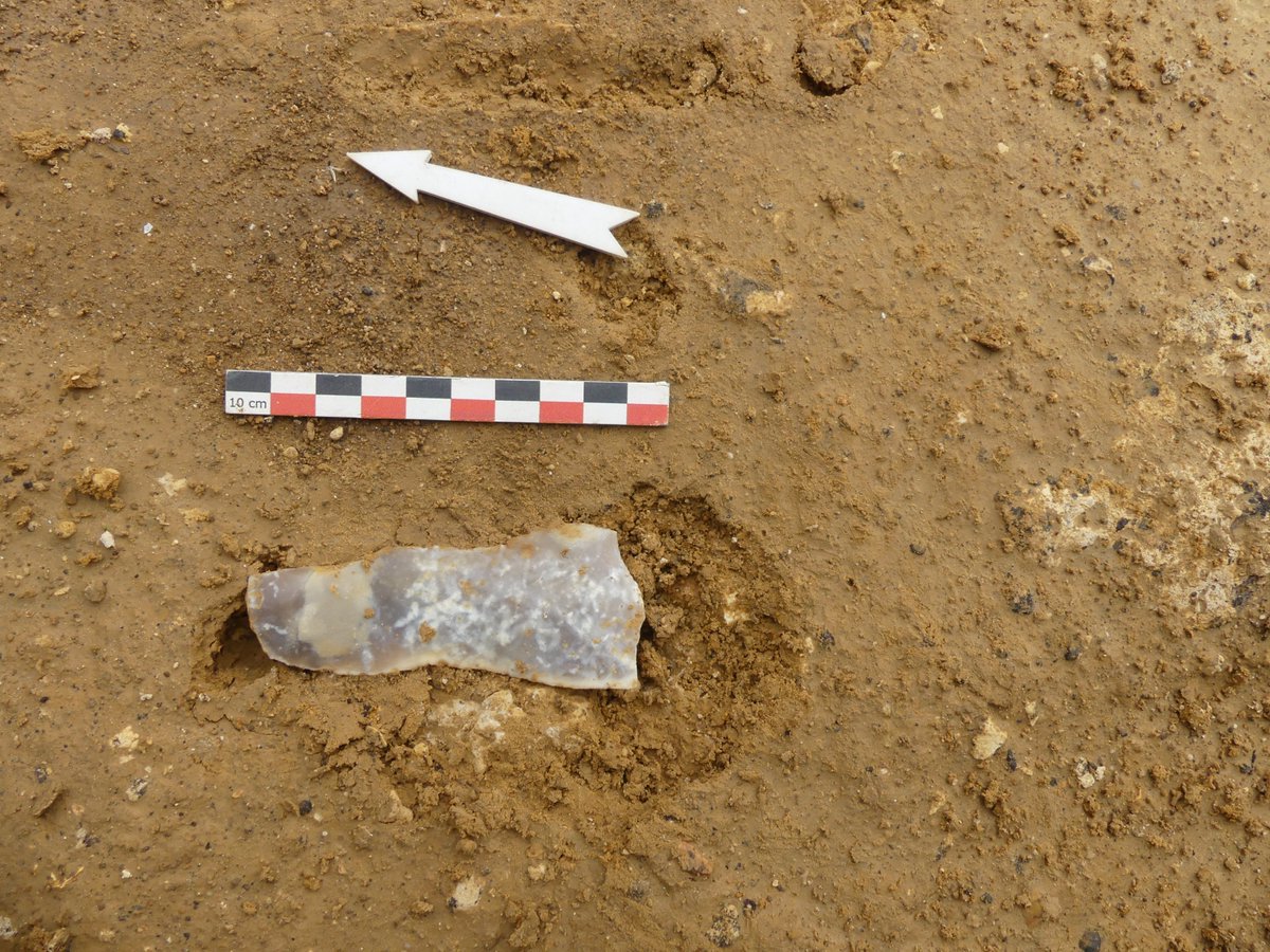 eveha_archeo's tweet photo. Des vestiges de la #Préhistoire ancienne ont été découverts lors de la fouille préventive menée à Thiais (94) par Stéphane Adam, responsable d’opération chez Éveha.Du mobilier, composé de pièces datant du Paléolithique Moyen...
#eveha #paléolithique #fouilles #archéologie #thiais https://t.co/cQQYSkIw5z