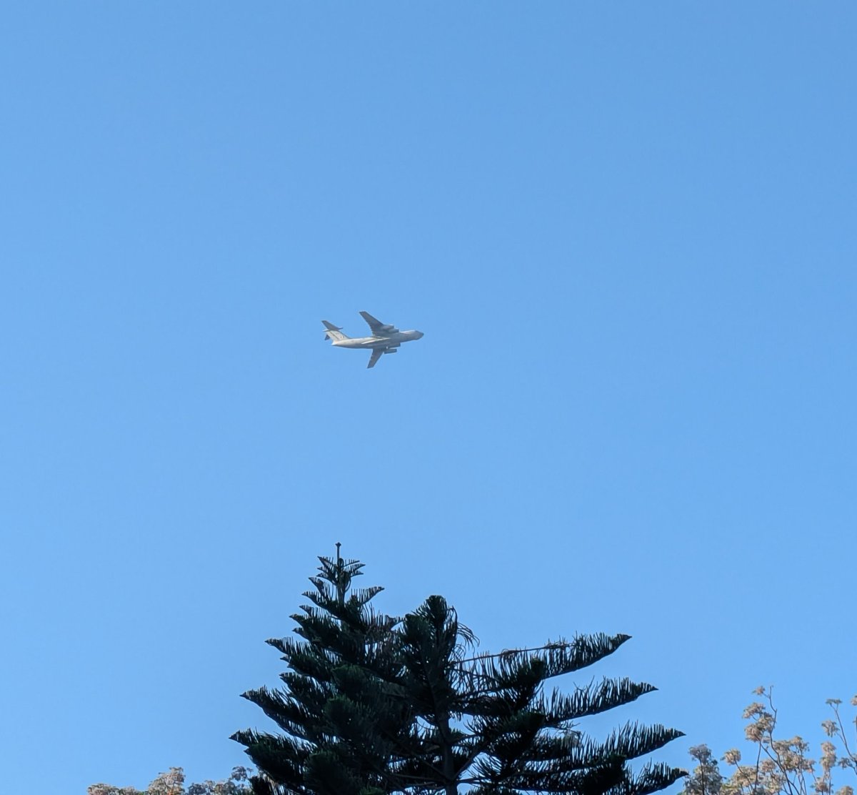 Share a photo with a tree 🤌