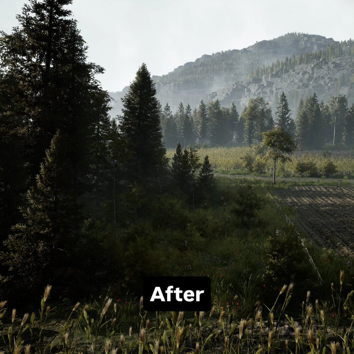veilofashesgame's tweet image. We updated our tree assets and made lighting adjustments. Here are some before and after screenshots. #gamedev #strategygame #UnrealEngine5 #indiegame
