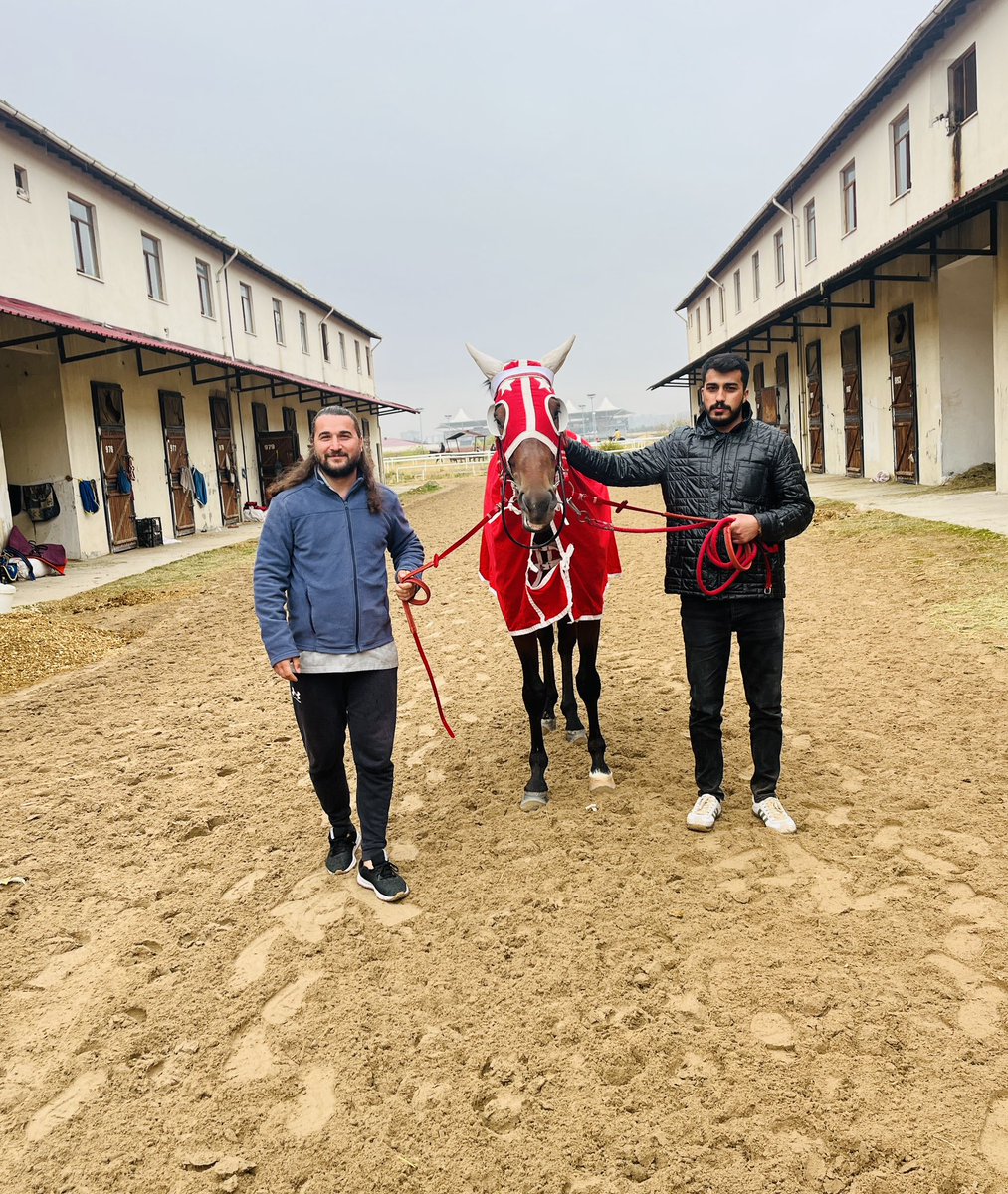 21ipekstud's tweet photo. Atımız #HandsomeLake 🧿 Ankara 75 yıl  hipodromunda Şartlı-5 mücadeleyi jokeyi #MKıyak idaresinde 🥉 Lük ile tamamlamıştır.Emeği geçen ekip arkadaşlarıma teşekkür ederim.

Kazanan atı ve ilgililerini tebrik ederiz.
#Şahinİpek ♥️
@jokeycetintas 💫 https://t.co/71tiqiVK7P