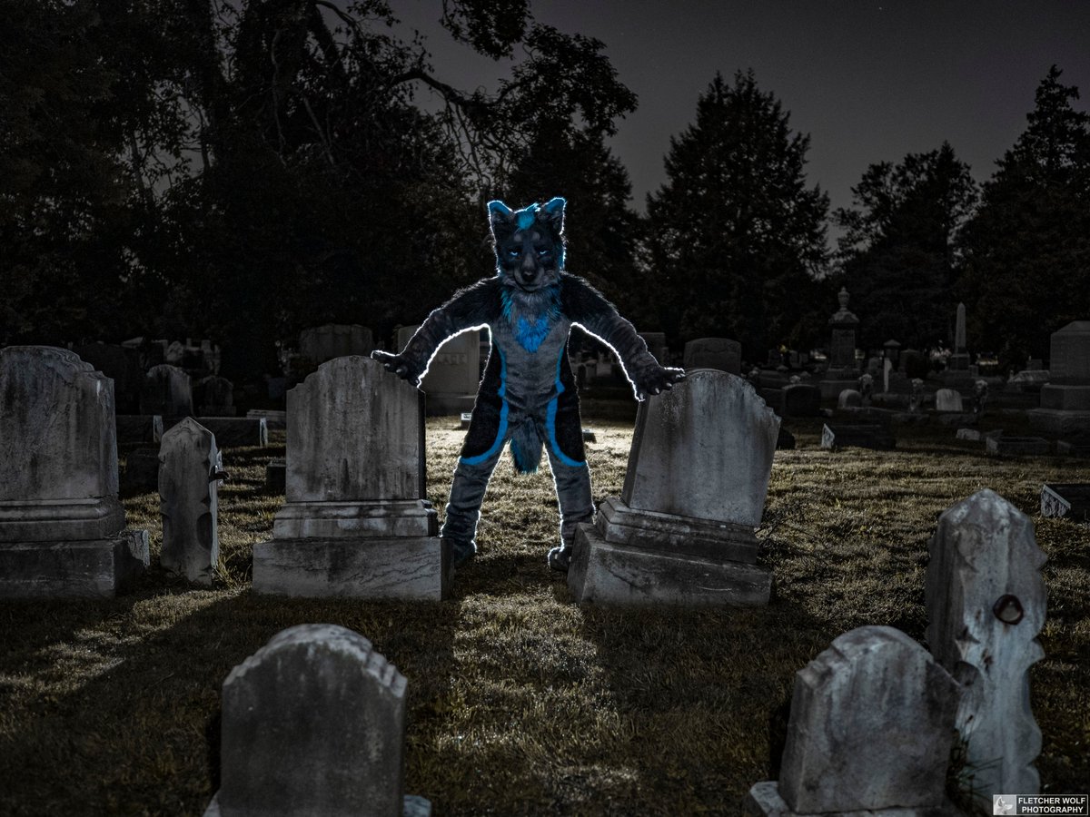 Do not bury your pet woofer in the pet sematary. Sometimes, dead is better.

🐺: <a href="/LucaWuff/">Luca</a>