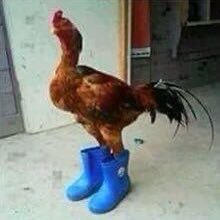 JayJay926's tweet photo. he Boot Too Big For He Gotdamn Feet https://t.co/ZiSzNqNeis