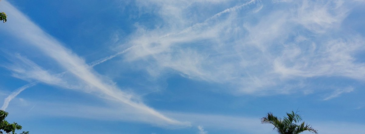 josereyalo's tweet image. The #sky's got its X-marks-the-spot game strong today! 😁 What do you think is hidden up there? 🤔✈️ #SkyWatching #Contrails #panophotos #xpancrop