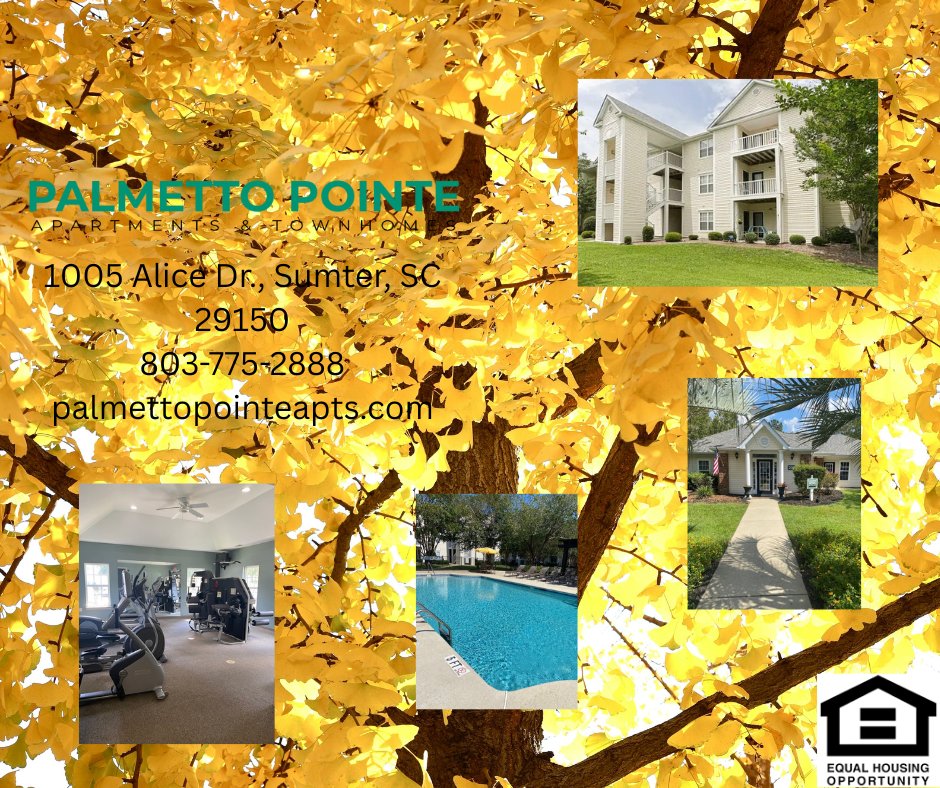 Palmetto Pointe Apt (@palmettopointe) on Twitter photo 