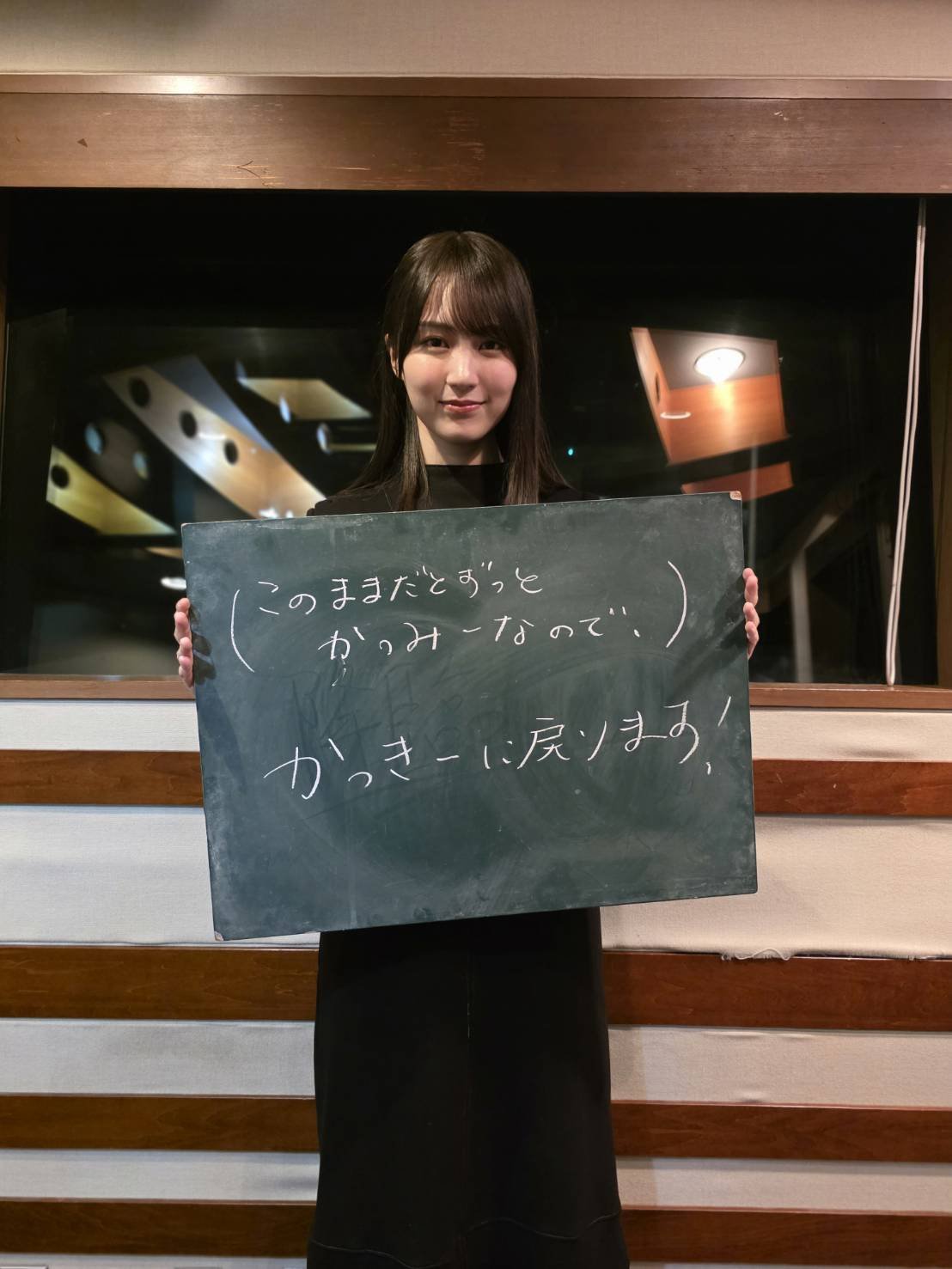 まるゆる アザラシ2頭】まるふわアザラシ BIGぬいぐるみ＋まんまる海獣