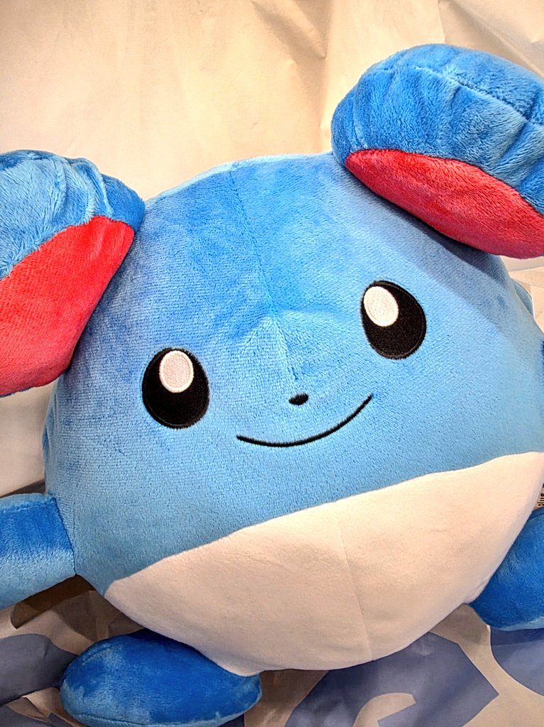 今日ゲーセンで苦戦していた僕を見かねて助けてくれた店員さん、ありがとうございました✨✨✨
お陰でちびいむと妻の笑顔が見れそうです( ´∀`)(帰宅中)