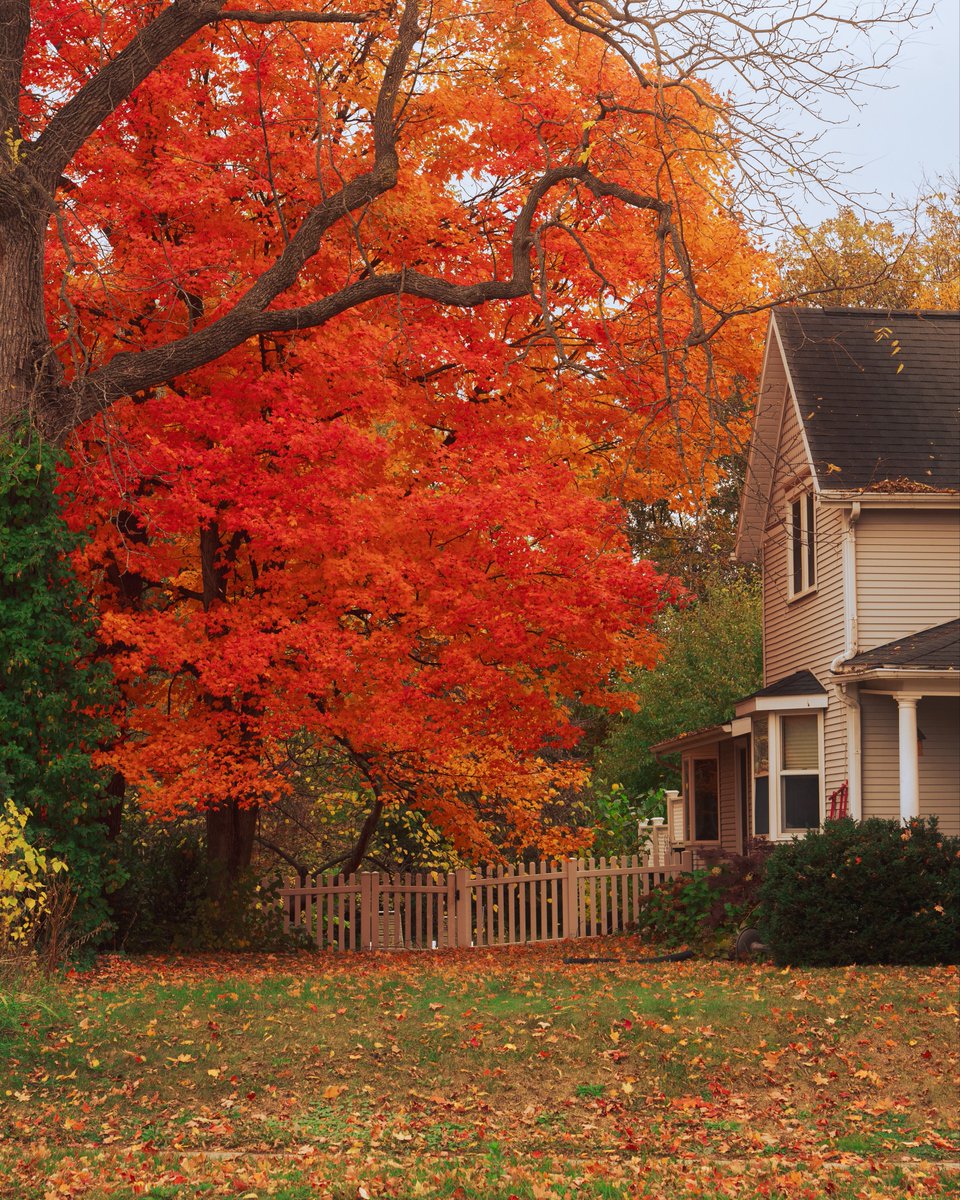 _thecolorfulkid's tweet photo. Photos of a Midwest fall https://t.co/klgUrBKu1T