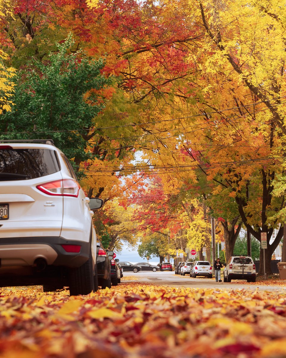 _thecolorfulkid's tweet photo. Photos of a Midwest fall https://t.co/klgUrBKu1T