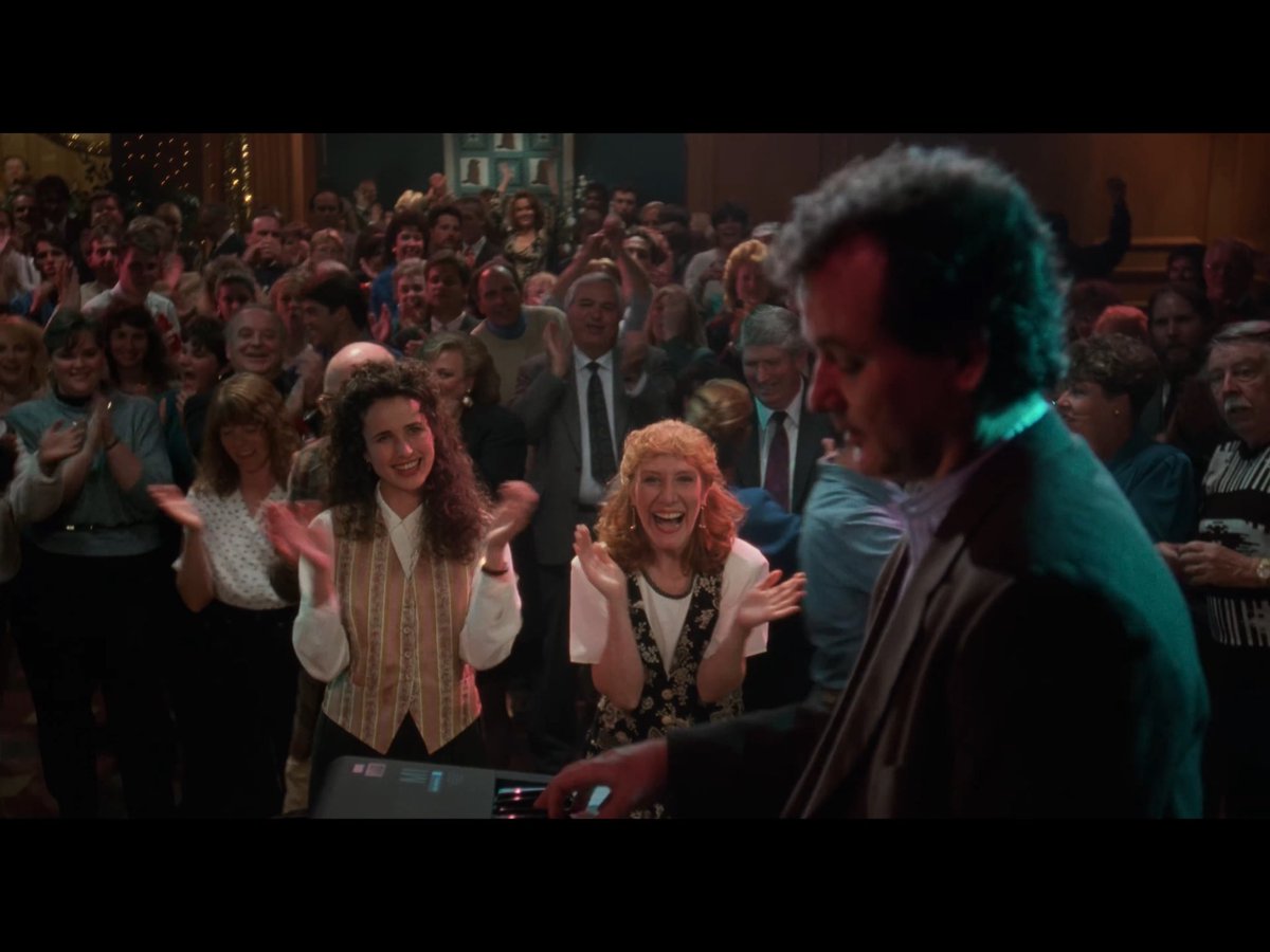 sunflower tweet media