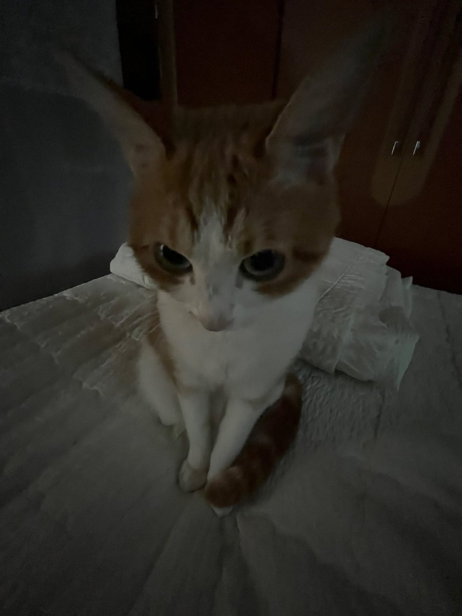 언니들
웨 안자?
훼사 안가?