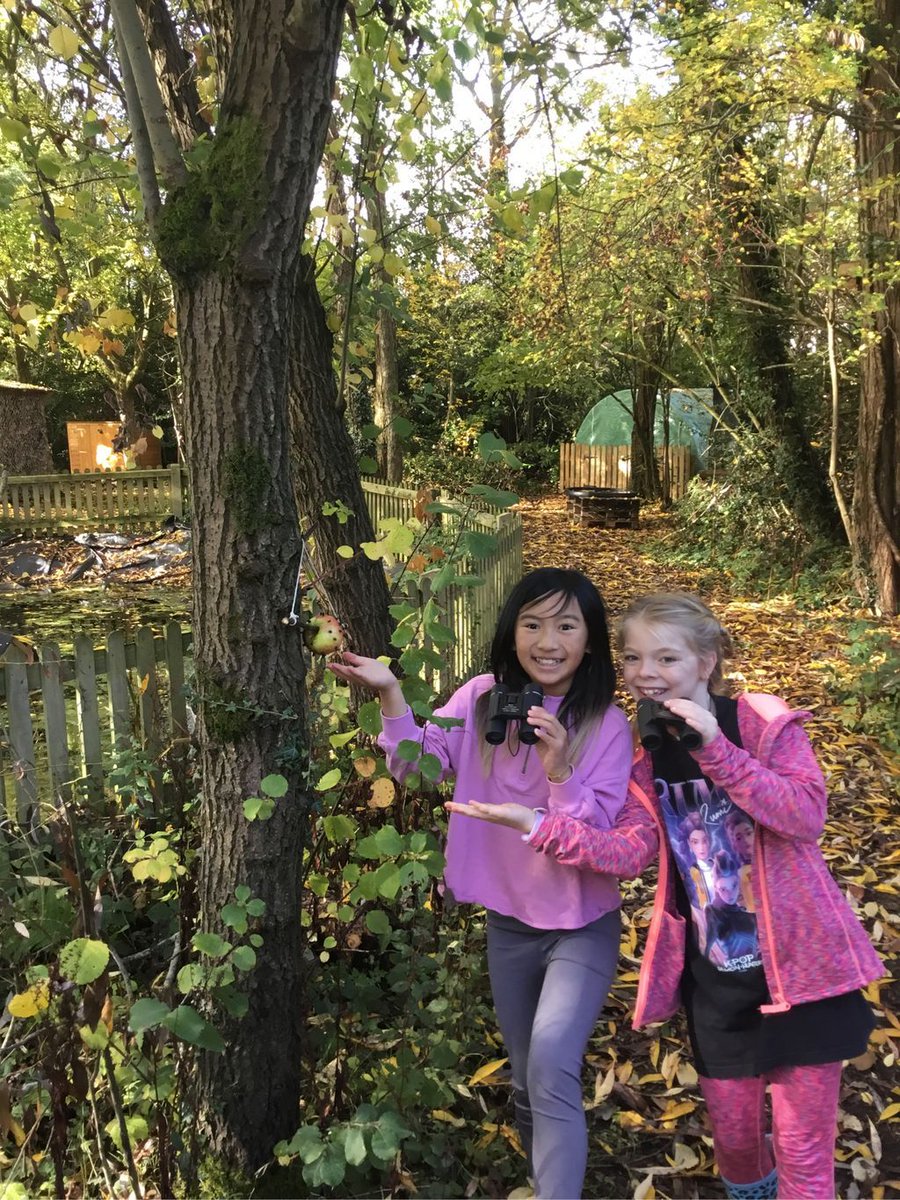 During our forest school session, Class 12 learnt to identify common garden birds and their songs. We then made bird feeders out of apples and sunflower seeds. It was great fun searching the area to find the perfect place to hang them.