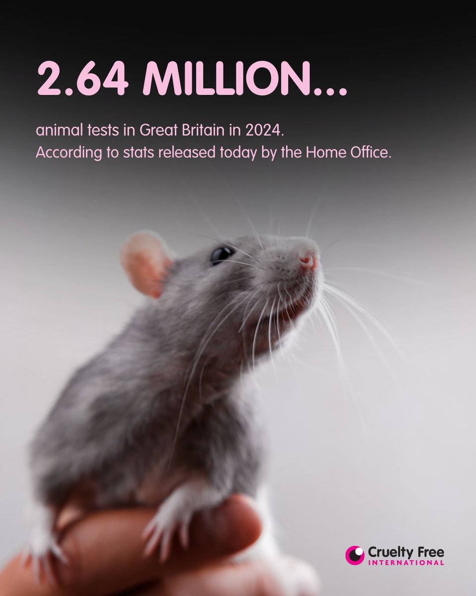 CrueltyFreeIntl's tweet photo. 🚨 A small decrease of just 2% in animal tests reinforces the urgent need for the UK Government's phase-out strategy 🚨

Government must publish a bold and deliverable strategy to phase out animal testing. Help ensure their promise is delivered: https://t.co/8vYfyMmAOL https://t.co/qfFsXvaY2t