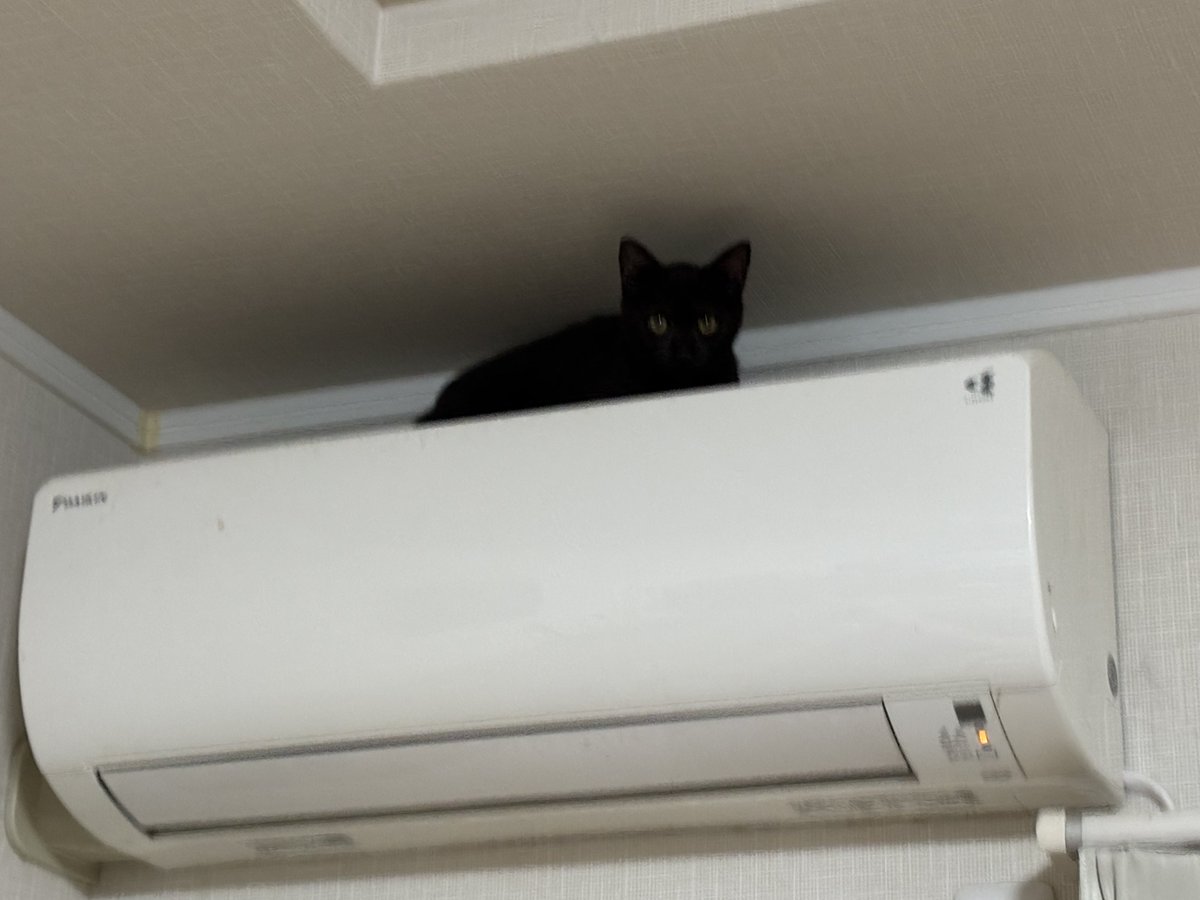 もずく降りてきなさーい