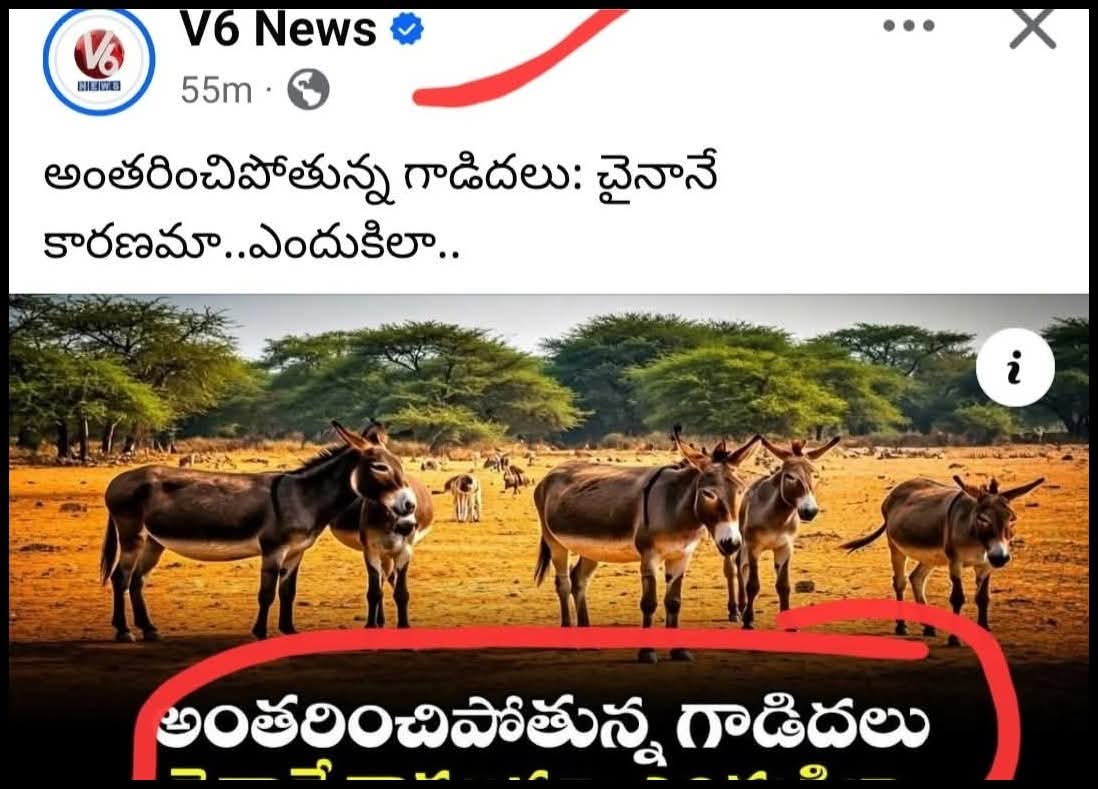 AhmedPa37742375's tweet photo. పార్టీ అధికార అండ చూసుకొని గాడిద దొంగతనాలు చేస్తా ఉంటే అంతరించిపోకుండా ...ఇంకేం అవుతాయి...🤣 #highlets https://t.co/NY9ALKADkC