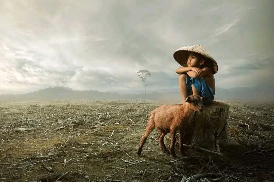 रहेक तिहार महसुस हुन्छ की 
सफलता भन्दा ठुलो उत्सव केही हुदैन ।😔