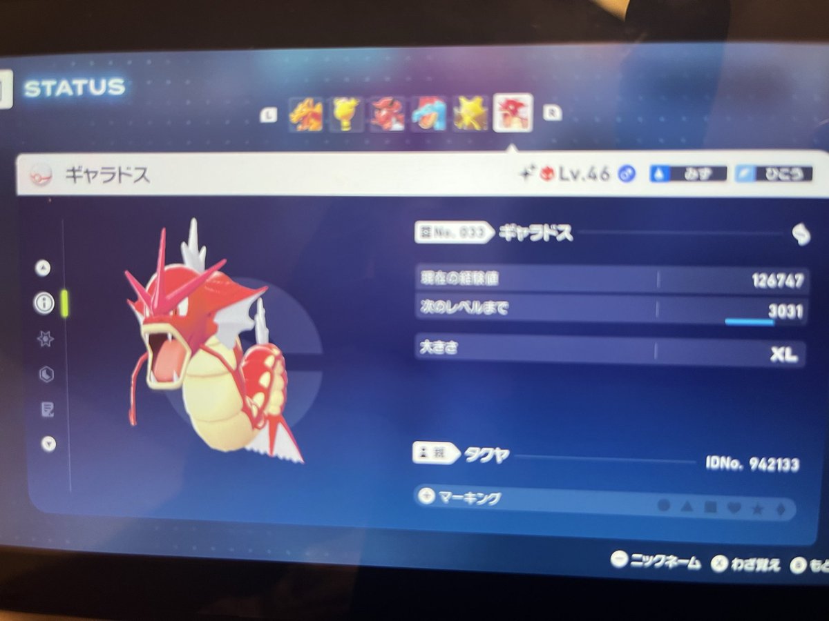 親分ポケモンでまさかの金コイ 赤いギャラドスに。 運使い果たした