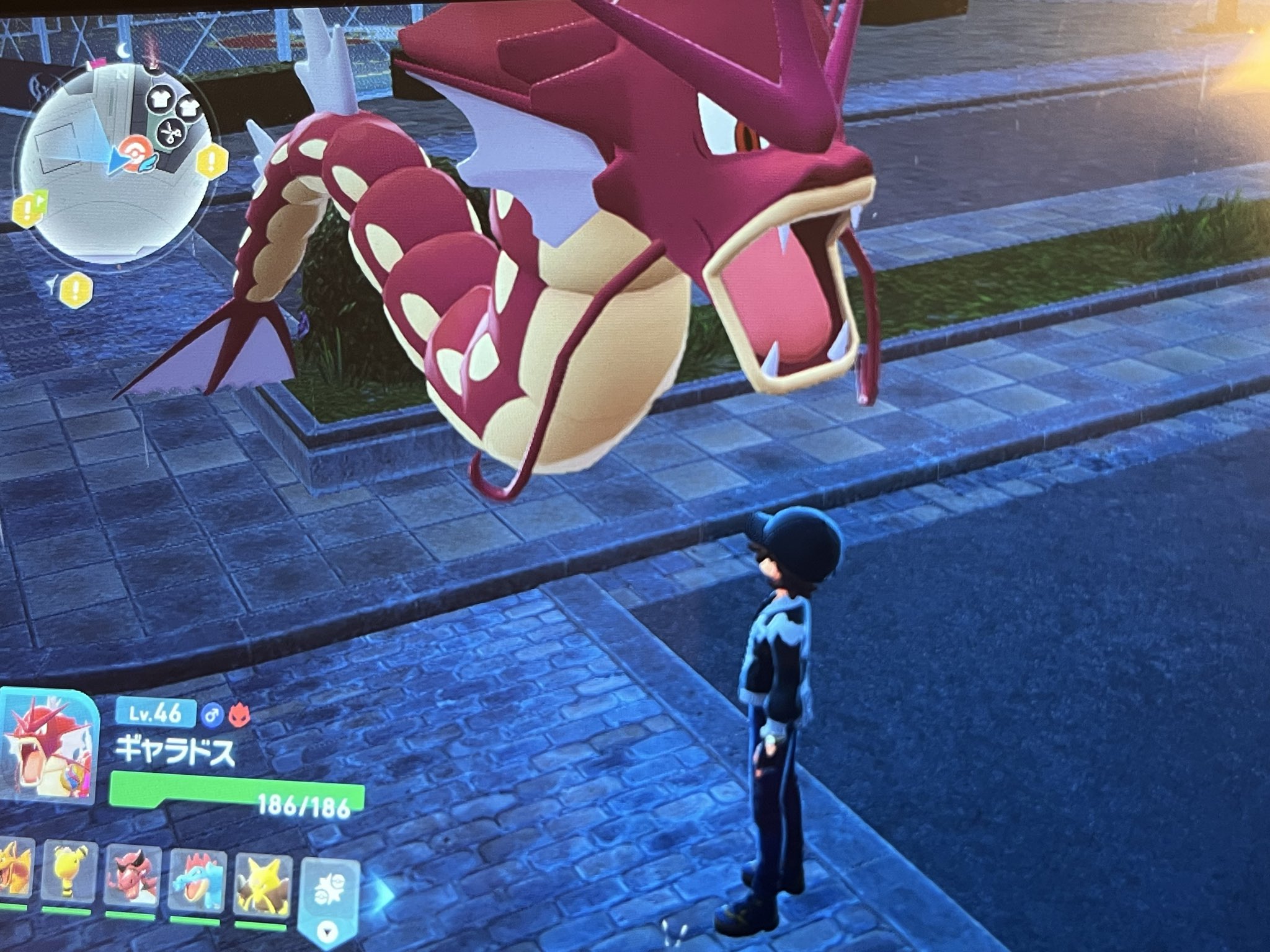 ギャラドス - Search / X