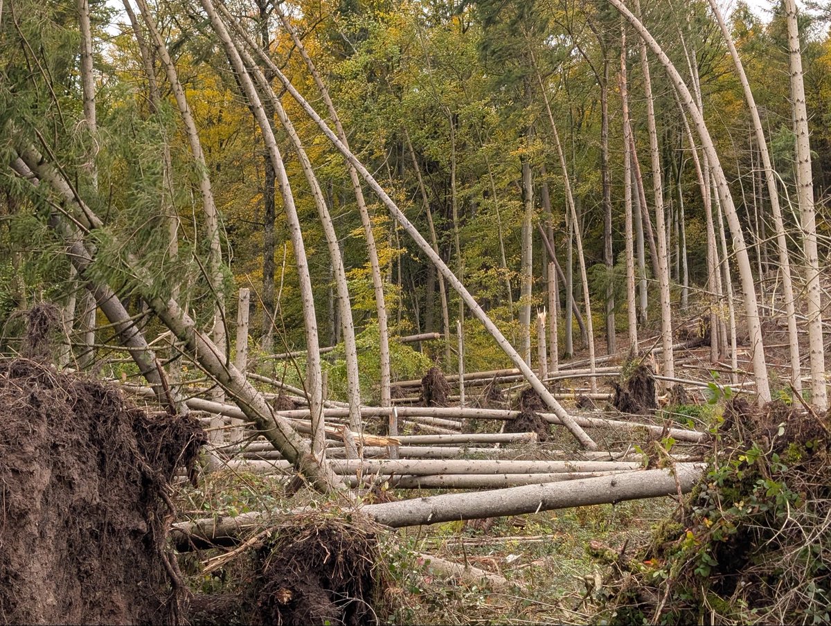 TorKUD.de tweet media
