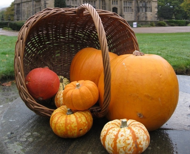Are you ready to get outside on the Halloween trail at Gawthorpe Hall this Saturday 25 October. See how many ghosts and ghouls you can find in the grounds.
12-3pm, £2.50 per child, dress for wet and muddy weather. More details on all events here 
tiny.cc/EventsAtGawtho…