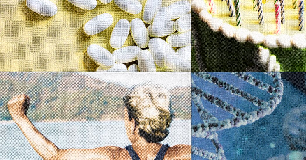 DiverseElders's tweet image. What if you could make your #cells more resilient to damage to stave off #decline as you #age? That’s the idea behind N.A.D.+ boosting, a #trendy longevity #therapy.  But there’s a lot that scientists don’t yet know. So, does #NAD+ boosting actually work? buff.ly/lvo5xdS