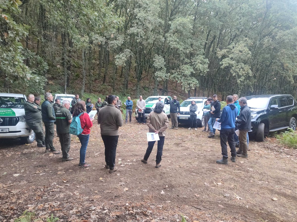 LifeRebollo tweet media