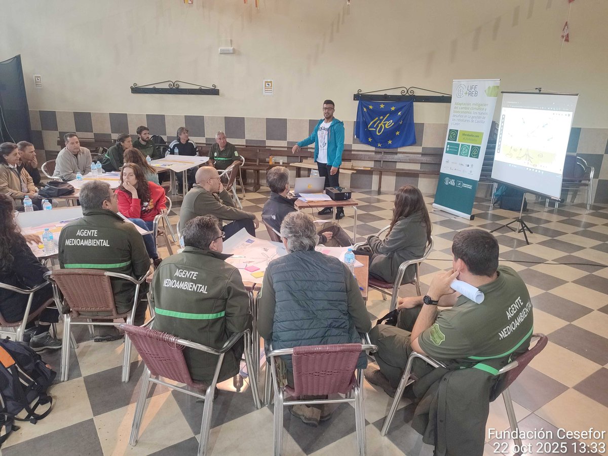 LifeRebollo tweet media