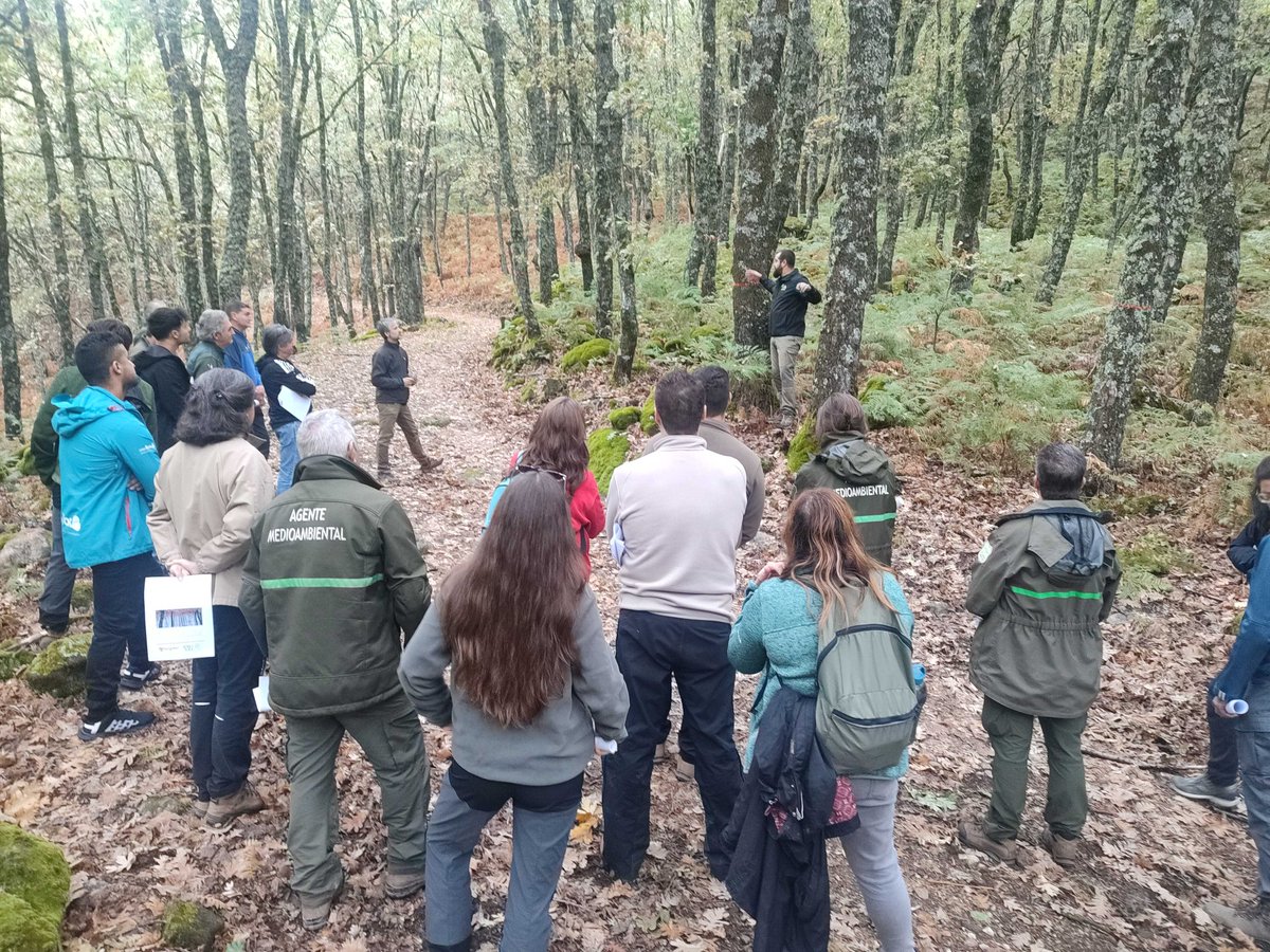 LifeRebollo tweet media