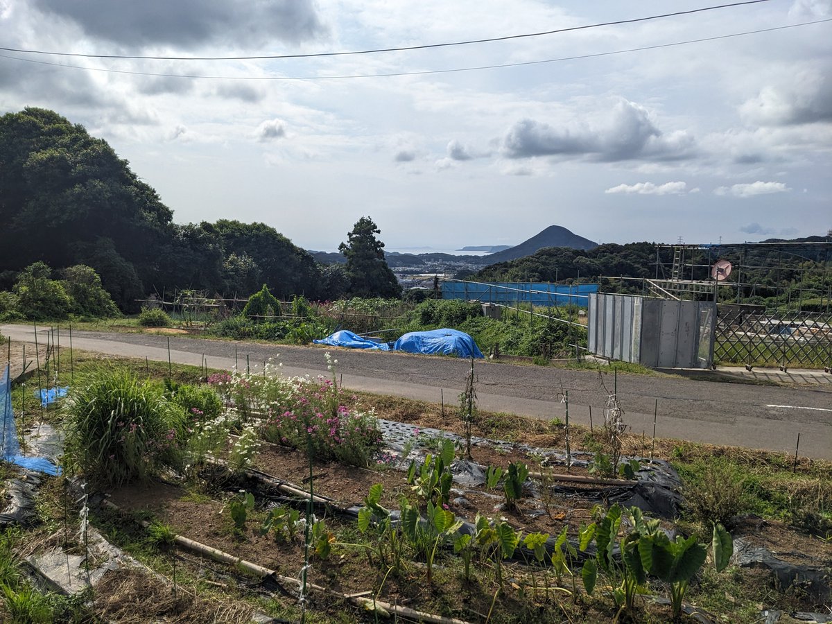 ２０２５年１０月１５日
🔴  阿弥陀堂
    #佐世保市    #十文野町    #阿弥陀堂