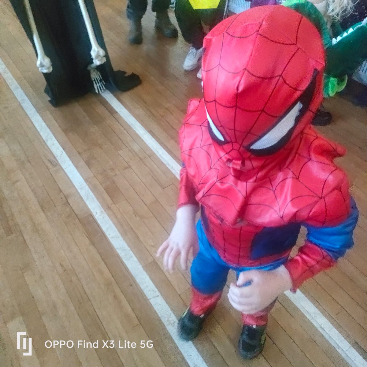 BallindagginNS tweet media