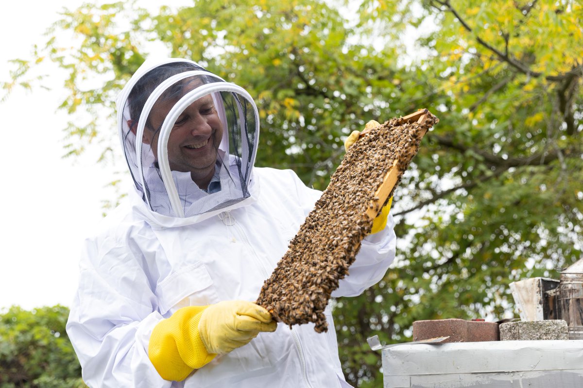 UnityHealthTO's tweet image. A spiritual care practitioner at St. Joseph’s sees many links with his hobby of beekeeping. “We observe and respond to the needs of the bees. With patients, we listen deeply, observe emotional cues and create a safe space to process grief and fear.” unityhealth.to/2025/10/compas…