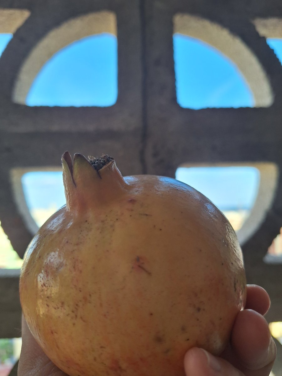 Marga 𑁍 tweet media