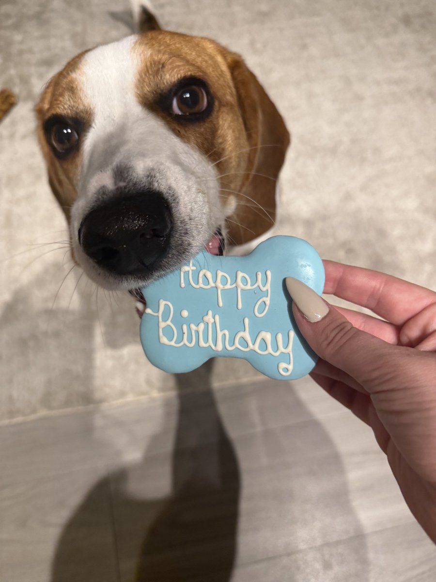 Alexandra Skores tweet media