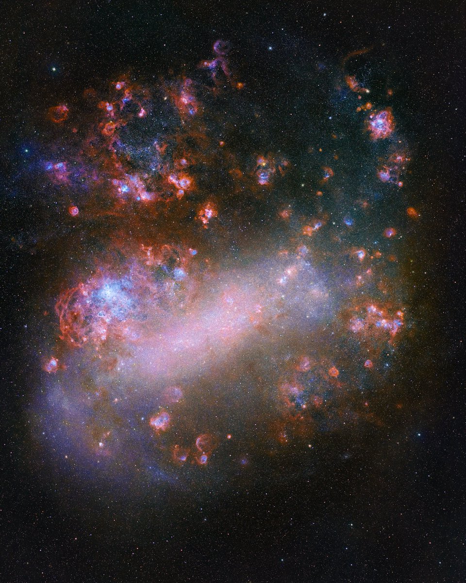 AJamesMcCarthy's tweet image. Last month I travelled 6,000 miles to capture this: one of the Milky Way’s satellite galaxies. 
This galaxy is easily visible to the naked eye, and FILLED with nebulae.
This true color photo is also my latest limited edition artwork, available for a short time linked in my bio.