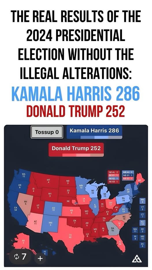 DashRip95469258's tweet image. 