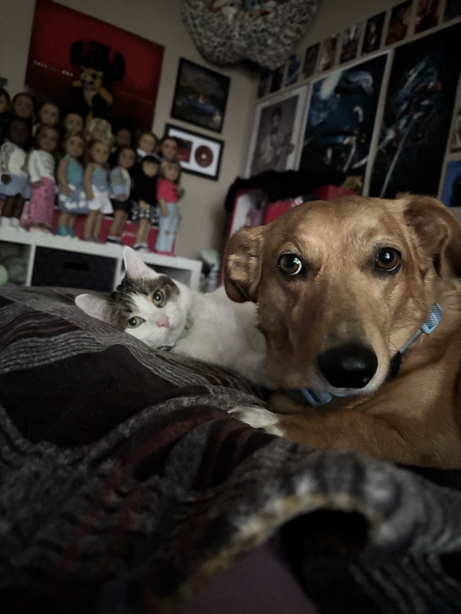 dyl 💭 tweet media